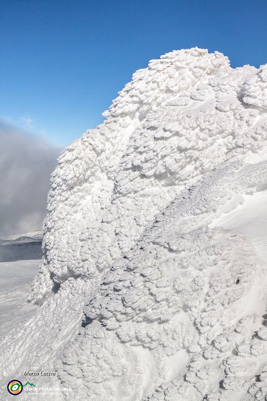 48_Scaglie di neve.JPG